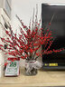 購優(yōu)匯北美冬青鮮切枝鮮花束紅果水培水養綠植植物室內春節年宵花卉真花 北美冬青(60cm)10支 不含花瓶 曬單實(shí)拍圖