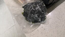 奧德居（AODEJU） 奧德居28*500卷袋 紋路食品袋 網(wǎng)紋真空袋真空紋路袋真空機包裝袋 曬單實拍圖