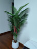 瑯闕仿真植物散尾葵北歐風(fēng)裝飾客廳落地大型盆栽室內盆景擺件樹(shù)假綠植 1.6米散尾葵 帶白色花盆 曬單實(shí)拍圖