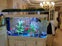 喜灝歐式子彈頭魚(yú)缸水族箱中大型1.2米家用客廳魚(yú)缸玻璃免換水金魚(yú)缸 150x43x158cm(帶柜-底濾） 曬單實(shí)拍圖