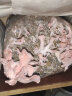 菇婆婆平菇蘑菇种植菌包菌棒盆栽食用菌种家庭趣味栽培阳台采新鲜的蘑菇 红平菇【升级款1袋装】 袋装 实拍图