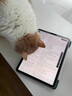 OLPAY蘋(píng)果apple pencil筆尖一二三代pro電容筆針管筆頭ipadpencil金屬改造替換靜音平板pencil保護套 [混搭套裝]2H+2B+2.0+天鉆_適配所有膜 曬單實(shí)拍圖