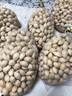 匯爾康2025新貨新鮮銀杏果2.5kg 生白果邳州銀杏園帶殼飽滿(mǎn)生鮮 曬單實(shí)拍圖