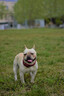 尼康（Nikon） 尼克爾AF-S 50mm f/1.8G單反相機(jī)標(biāo)準(zhǔn)定焦人像鏡頭 大光圈虛化 配國(guó)產(chǎn)58UV+星光鏡 曬單實(shí)拍圖