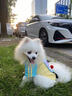 MIKI PAD狗狗衣服小型犬透氣春秋款薄款T恤泰迪比熊雪納瑞貓衣服可牽引 撞色T恤【帶牽引環(huán)】 M胸圍42cm（參考體重5-8斤） 曬單實(shí)拍圖