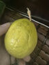 果迎鮮黃金百香果 新鮮水果 欽蜜9號(hào) 熱帶西番蓮 雞蛋果 酸甜爽口 20個(gè)裝 曬單實(shí)拍圖