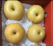 京鮮生山東煙臺萊陽(yáng)秋月梨凈重4斤單果250g+ 新鮮水果 源頭直發(fā)包郵 曬單實(shí)拍圖