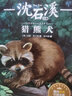 升級版沈石溪動物小說全集作品4冊 王妃黑葉猴 紅飄帶獅王 雄獅去流浪 一只獵雕的遭遇動物小說大王沈石 曬單實(shí)拍圖