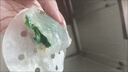 高焙仕水晶餃子粉500g家用蒸透明蝦餃皮預拌粉澄面做潮汕紅桃粿專用粉 水晶粉2袋【做水晶餃/潮汕紅粿】 曬單實拍圖