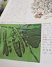 世界文學(xué)名著-安娜·卡列尼娜（套裝上下冊(cè)） 曬單實(shí)拍圖