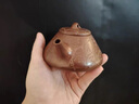 奢龍宜興原礦紫砂壺手工家用泡茶壺中式功夫茶具商務(wù)輕奢茶具禮物 曬單實拍圖