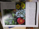 綠手指園藝叢書(shū)：花園水景 曬單實(shí)拍圖