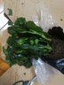 御卉閣 蟹爪蘭盆栽花苗綠植花卉室內陽(yáng)臺辦公室客廳擺放四季開(kāi)花植物  蟹爪蘭玫紅色一盆20棵左右 曬單實(shí)拍圖