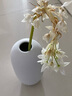 九土現代簡(jiǎn)約設計陶瓷插花瓶北歐家居裝飾品茶寵擺件餐廳客廳酒店 磨砂白(高) 曬單實(shí)拍圖