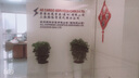 錦楓大型植物鴨腳木盆栽辦公室客廳大型綠植四季常青八方來(lái)財(cái)鴨掌木 80-100cm鴨腳木(高腰陶瓷盆) 含盆 曬單實(shí)拍圖