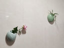 安言 壁掛花瓶墻上遮丑免打孔創(chuàng  )意懸掛式懸吊花盆綠蘿簡(jiǎn)約客廳裝飾 YY-壁掛-唐裝(天青) 小 曬單實(shí)拍圖