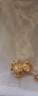 蒂蔻（Tico）生日禮物本命年足金十二生肖黃金吊墜兔項(xiàng)鏈3D硬金兔生肖掛墜 曬單實(shí)拍圖