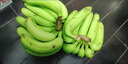 云南香蕉高山香蕉10斤小米新鮮水果現(xiàn)摘生青香蕉banana自然熟綠皮 高山大香蕉 5斤 曬單實(shí)拍圖