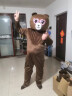 蜗·舍网红熊人偶服装套装熊本熊布朗熊开业节日庆典演出服装 熊熊 165-176cm 实拍图