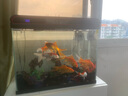 森森（SUNSUN）魚(yú)缸一體缸自循環(huán)客廳小型桌面超白玻璃水族箱生態(tài)免換水金魚(yú)缸 黑色480超白標配缸+假山46+水草景泥 曬單實(shí)拍圖