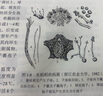 農(nóng)業(yè)植物病理學（第三版） 國家級一流課程配套教材 國家規(guī)劃教材 植物保護專業(yè)核心課 專家團隊聯(lián)合編寫 附課件和豐富視頻資源 配套出版實驗教材 曬單實拍圖