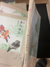 三易繪畫技法叢書 二十一種中型鳥的畫法 曬單實拍圖