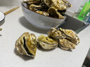 燈塔水母山東特產(chǎn)乳山活鮮鮮活生蠔 鮮活牡蠣 海鮮水產(chǎn)品 燒烤食材  L號凈重5斤（6-8只/斤） 曬單實(shí)拍圖