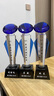 喜上來(lái) 水晶獎杯定制創(chuàng  )意刻字鉆石獎杯獎牌定做企業(yè)周年慶團隊活動(dòng)頒獎紀念品制作 藍色多瑙河（300X80X80mm） 曬單實(shí)拍圖