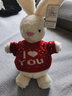 IGNATIUS小白兔玩偶公仔兔子毛絨玩具可愛(ài)兒童安撫柔軟布娃娃女孩生日禮物 【新年紅毛衣】 泡芙白兔 中號(全長(cháng)約25cm)不含耳朵長(cháng)度 曬單實(shí)拍圖