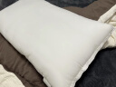 洁丽雅（Grace）枕头枕芯 磨毛镶边绗缝苦荞麦保健枕 荞麦枕46*72cm 单只装 实拍图