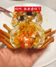 【活蟹】黃河口大閘蟹3.5公2.5兩母禮盒母蟹鮮活禮盒源頭直達(dá) 8只 曬單實(shí)拍圖