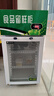 食品留樣柜帶鎖學(xué)校幼兒園公司食堂用水果蔬菜留樣冰箱保鮮冷藏展示柜 帶鎖800單門留樣柜 曬單實(shí)拍圖