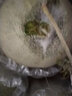 魯禧山東玫瓏蜜瓜 網(wǎng)紋密瓜冰淇淋口感 當季鮮鮮水果網(wǎng)紋蜜瓜新鮮香甜 9斤裝 凈重8.5-9斤【家庭共享】 曬單實拍圖