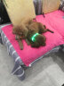 楚克奇（CHUKCHI）宠物狗项圈发光USB充电式LED电子项圈狗狗夜光脖圈中型颈圈防丢器 绿色 S码周长约38CM 实拍图