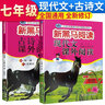 套裝2冊 新黑馬閱讀七年級現(xiàn)代文課外閱讀+古詩文課外閱讀 小學(xué)七年級課外閱讀訓(xùn)練文言文古詩文閱讀訓(xùn)練 七年級新黑馬閱讀 全年適用 曬單實拍圖