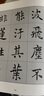顧隨臨同州圣教序碑 10冊(cè) 南開(kāi)大學(xué)出版社 (唐)褚遂良書(shū)顧隨臨 著 劉運(yùn)峰 編 精裝 書(shū)籍 曬單實(shí)拍圖