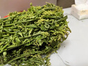 顏曼箐廣西水蕨菜新鮮下飯菜當季時(shí)令蔬菜農家菜水蕨菜甜菜蕨現摘現發(fā) 1500g 曬單實(shí)拍圖