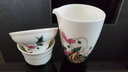 金嵐玉 唐山骨瓷小茶杯玉蘭花開(kāi)茶具功夫茶杯骨粉中式小水杯美人杯 虞美人草-美人杯 70ml 6只 曬單實(shí)拍圖