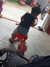 babyjianle1-3歲無(wú)腳蹬溜溜車(chē)童車(chē)玩具扭扭車(chē)四輪兒童四輪滑行車(chē)寶寶助步車(chē) 豪華款仙女粉【音樂(lè )燈光吐泡泡】 曬單實(shí)拍圖