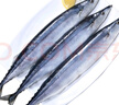 漁吻 秋刀魚新鮮冷凍 深海魚日式燒烤秋刀魚生鮮海鮮水產(chǎn) 超大號秋刀魚500g*4（16條） 曬單實拍圖
