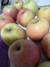 良知農哥麗江寧蒗瀘沽湖冰糖心丑蘋(píng)果 脆甜可口應季紅富士 5斤彩箱12個(gè)70-90mm 曬單實(shí)拍圖