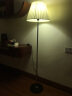 好莱仕落地灯客厅卧室床头过道现代简约创意布艺装饰LED遥控喂奶灯 银灯杆+三段调光+9WLED 实拍图