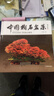 中國樹(shù)石盆景 中國林業(yè)出版社 張志剛 編著(zhù) 書(shū)籍 曬單實(shí)拍圖