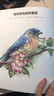 世界繪畫(huà)經(jīng)典教程：色鉛筆下的鳥(niǎo)兒世界（繪客出品） 曬單實(shí)拍圖