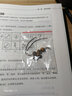 卡薇亞虎眼石單珠DIY配飾品水晶散珠情人節(jié)禮物 黃虎 8mm左右1顆 曬單實拍圖