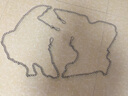 小不點(diǎn)狗鏈狗繩牽引繩大型犬加長(cháng)不銹鋼雙扣鏈 邊牧金毛用品 圖片色 中小型犬用 粗3mm 曬單實(shí)拍圖