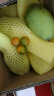 帆儿庄园  新鲜水果大青芒新鲜水果批发青芒果当季新鲜水果 约4.5kg 实拍图