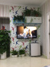 【送货入户】爱优尚大型绿萝柱盆栽植物室内客厅办公室除甲醛四季绿植 1.5米【梯形水泥盆白色】 实拍图