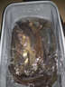本汀（BenTing） 本汀神鶴漂孔雀羽魚(yú)漂超亮鯽魚(yú)漂鯉魚(yú)漂浮漂 神鶴A-06 1號(hào)一只 曬單實(shí)拍圖