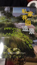 私家花園造景 曬單實(shí)拍圖